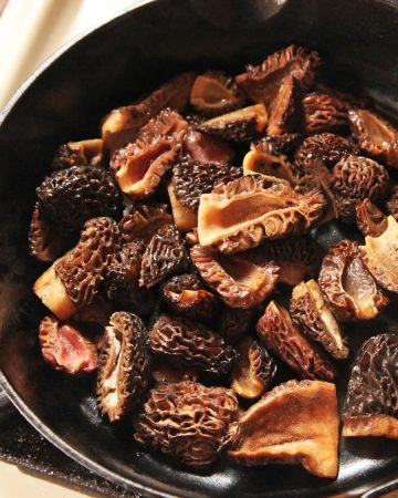 morel mushrooms