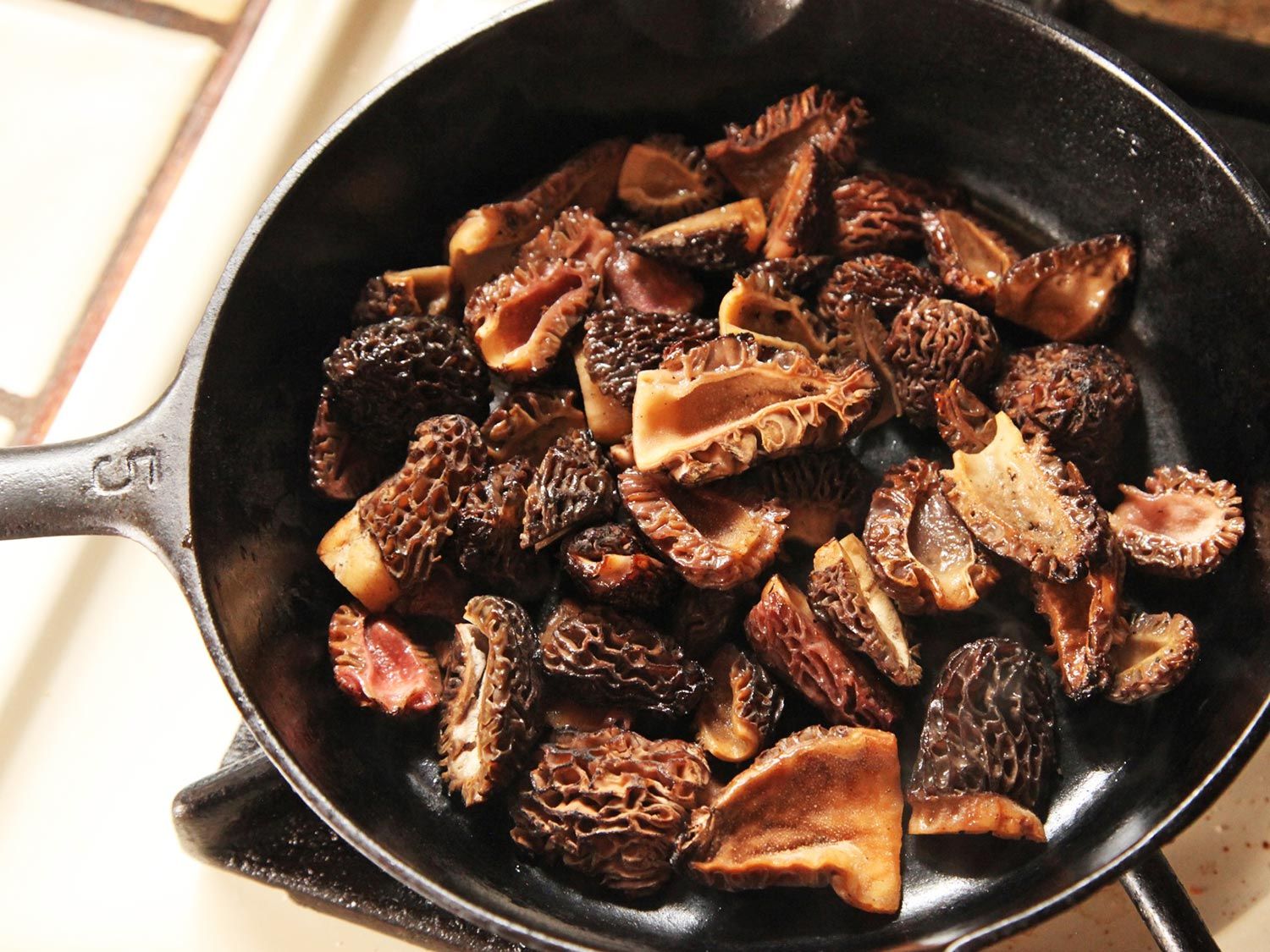 morel mushrooms
