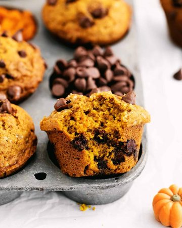 pumpkin chocolate chip muffins recipe