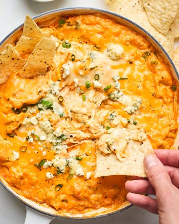 buffalo chicken dip recipe